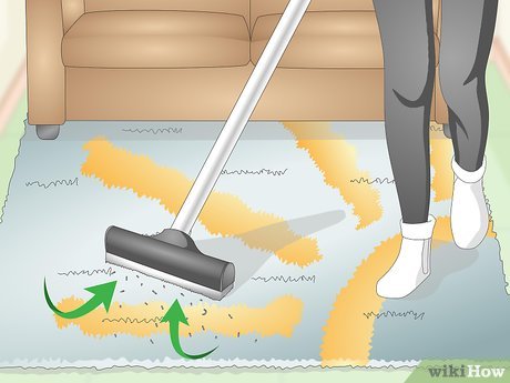 How to Clean a Rug at Home: A Practical Guide